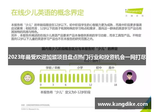 2023年最受欢迎加盟项目盘点热门行业和投资机会一网打尽