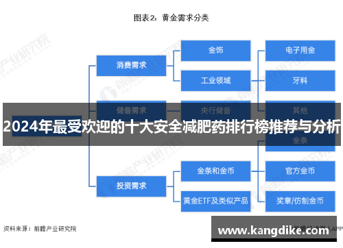 2024年最受欢迎的十大安全减肥药排行榜推荐与分析