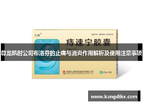 尊龙凯时公司布洛芬的止痛与消炎作用解析及使用注意事项
