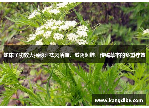 蛇床子功效大揭秘：祛风活血、滋阴润肺，传统草本的多重疗效